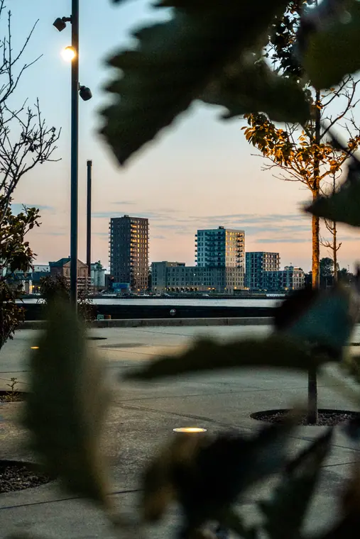 Aalborg i gyldent lys, billede 16 af 16
