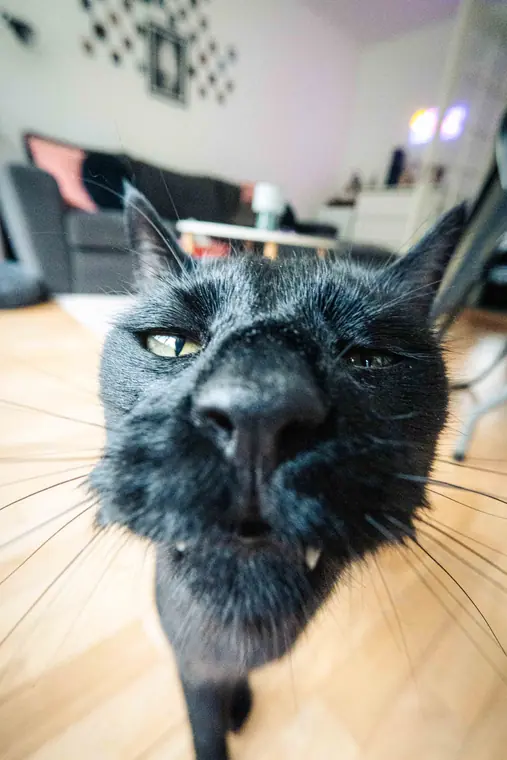 Aftenhygge hjemme, billede 5 af 22