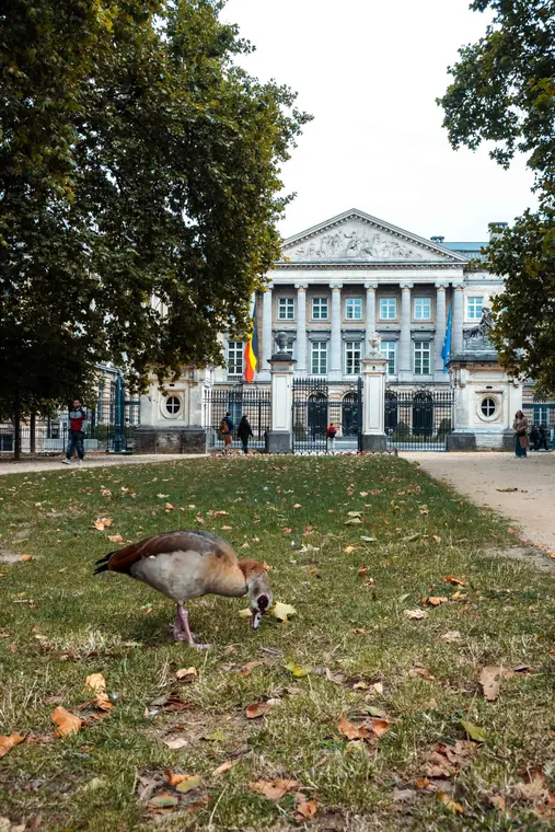 Bruxelles, billede 42 af 61