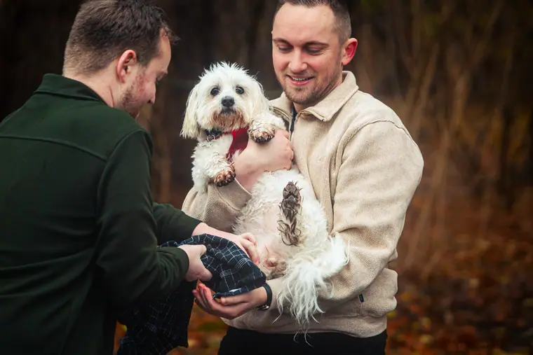 Efterår med hunden, billede 19 af 59
