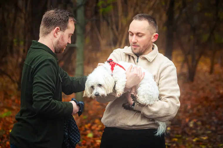 Efterår med hunden, billede 21 af 59