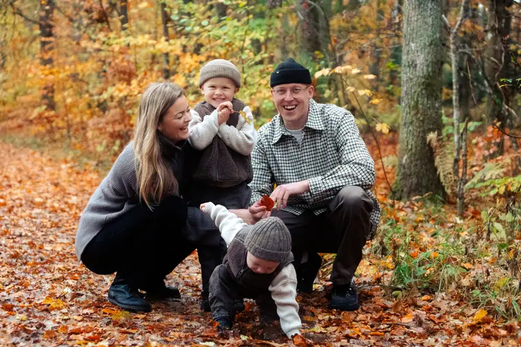 Efterårsskoven, billede 33 af 75